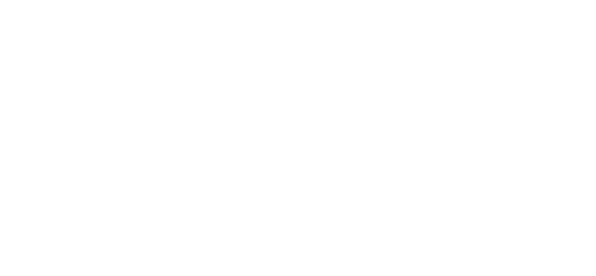 Fast Rubber (homologação)